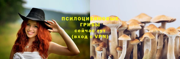 Альфа ПВП Алексеевка