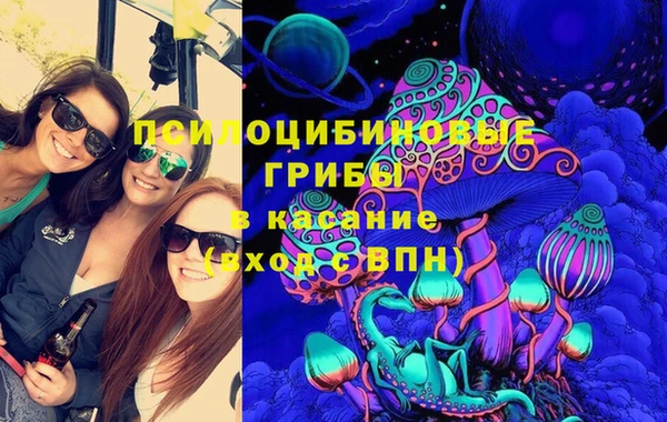 PSILOCYBIN Алексин